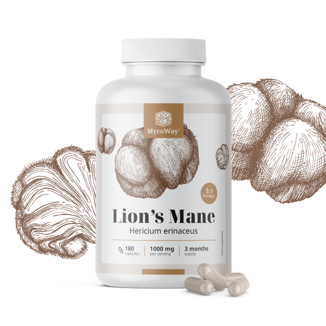 Testa di scimmia 1000 mg – estratto 5:1