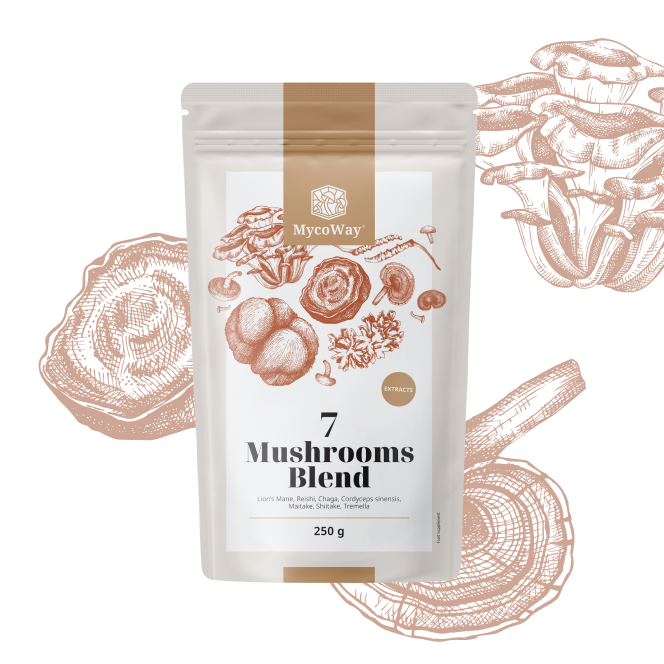 Miscela di estratti di sette funghi in polvere