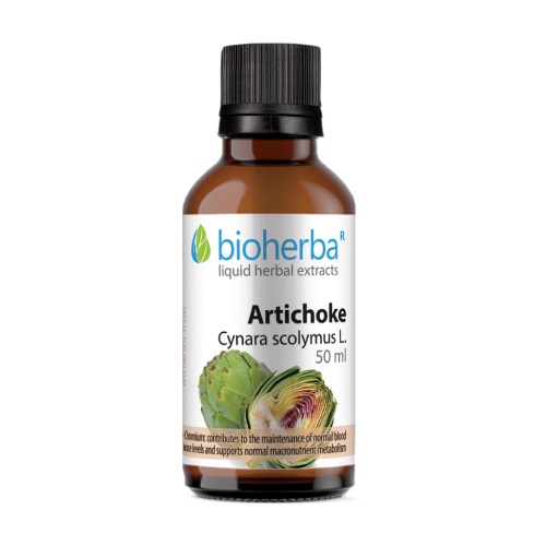 Carciofo - tintura, 50 ml