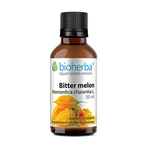 Zucca amara - tintura, 50 ml