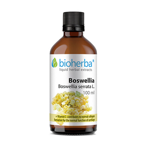 Boswellia - tintura, 100 ml