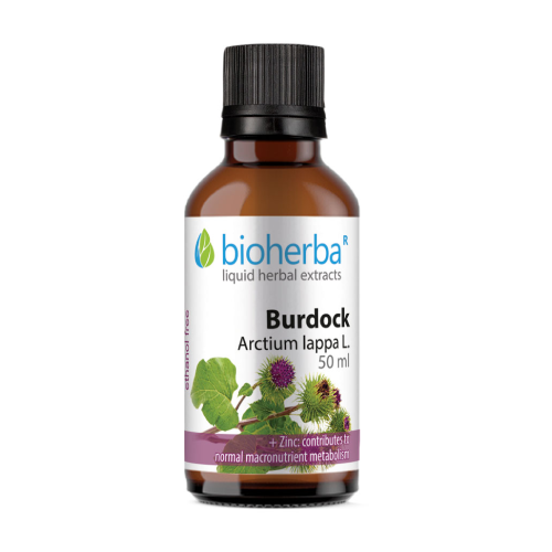 Bardana - tintura, 50 ml