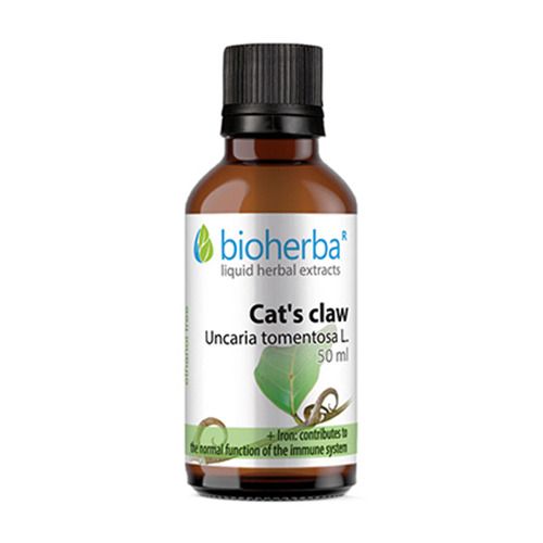 Unghia di gatto - tintura, 50 ml