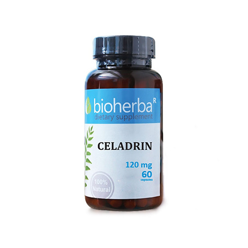 Celadrin 120 mg, 60 capsule