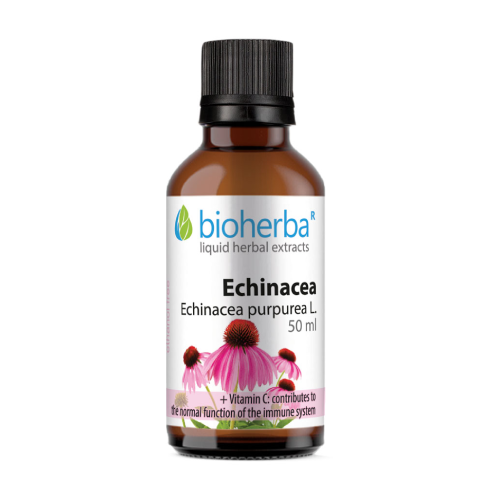 Echinacea - tintura, 50 ml