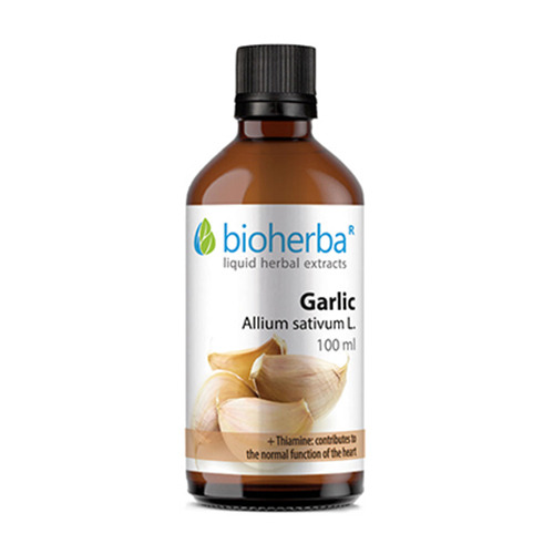 Aglio - tintura, 100 ml