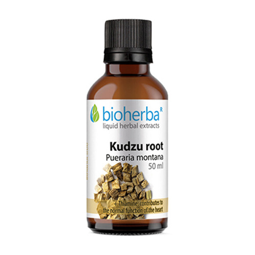 Radice di kudzu (radice di freccia giapponese) - tintura, 50 ml