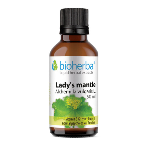 Alchemilla – tintura, 50 ml
