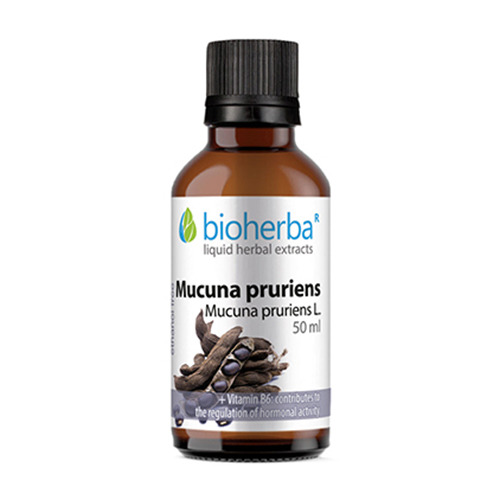 Mucuna (fagiolo di velluto) – tintura, 50 ml