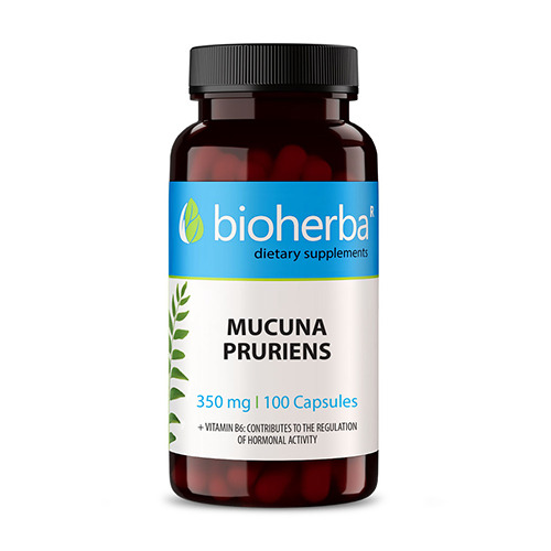 Mucuna pruriens (Kapikachhu) - estratto, 100 capsule