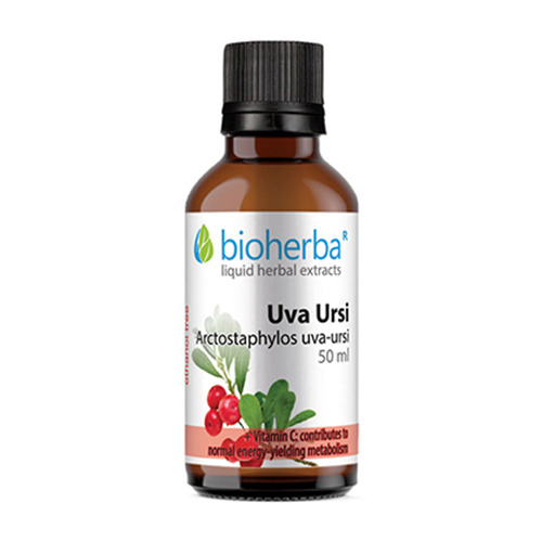 Uva Ursina - tintura, 50 ml