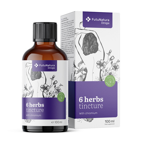 6 erbe – tintura, 100 ml