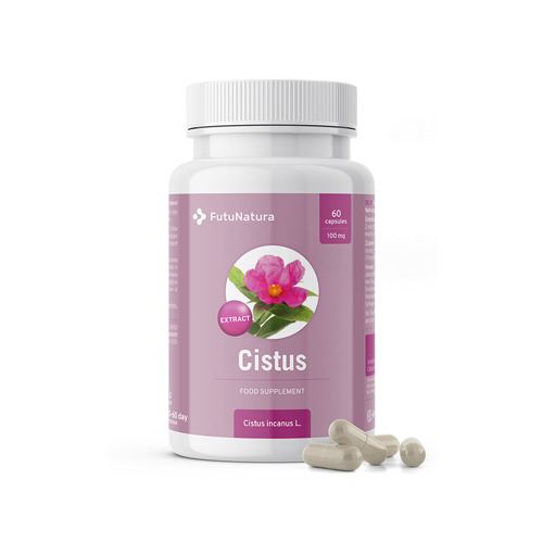 Cisto villoso – estratto, 60 capsule