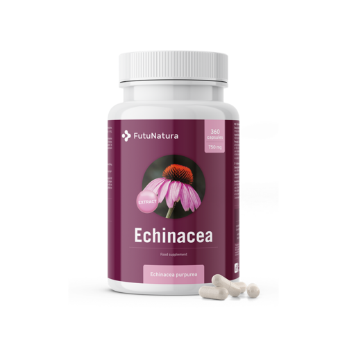 Echinacea – estratto 10:1, 360 capsule
