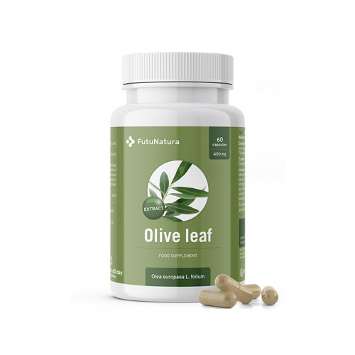 Foglie di olivo – estratto, 60 capsule