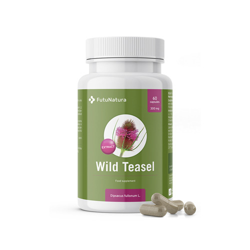 Cardo da lanaioli - malattia di lyme, 60 capsule