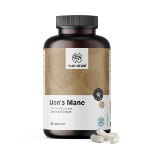 Testa di scimmia (criniera di leone) – fungo, 180 capsule