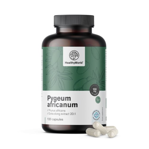 Pygeum – estratto di pigeo africano, 120 capsule