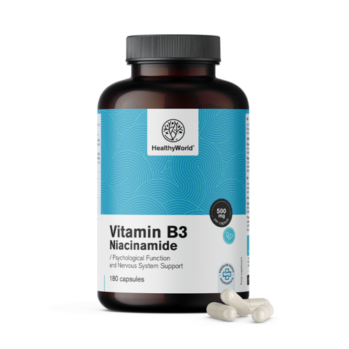 Vitamina B3 500 mg – niacinamide, 180 capsule