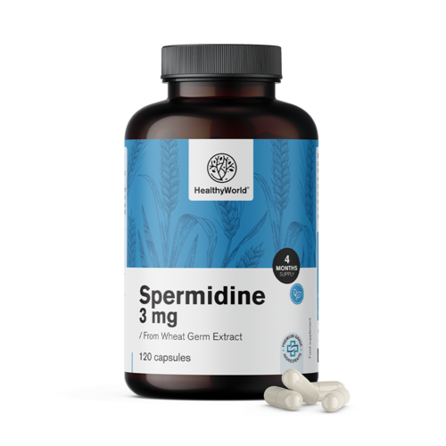 Spermidina 3 mg – dall'estratto di germe di grano, 120 capsule