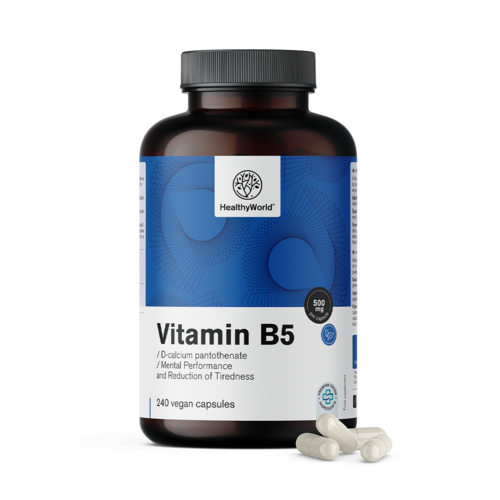 Vitamina B5 500 mg, 240 capsule