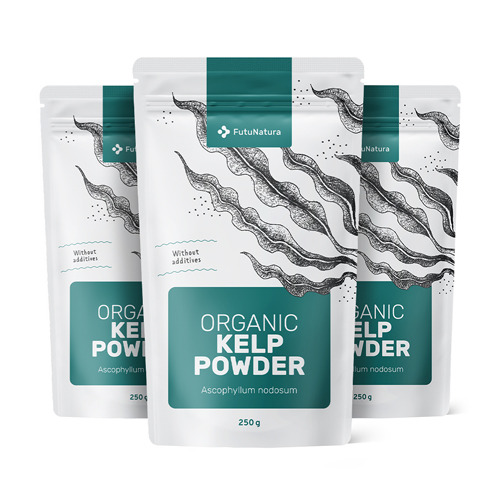 3x BIO Kelp in polvere, totale 750 g