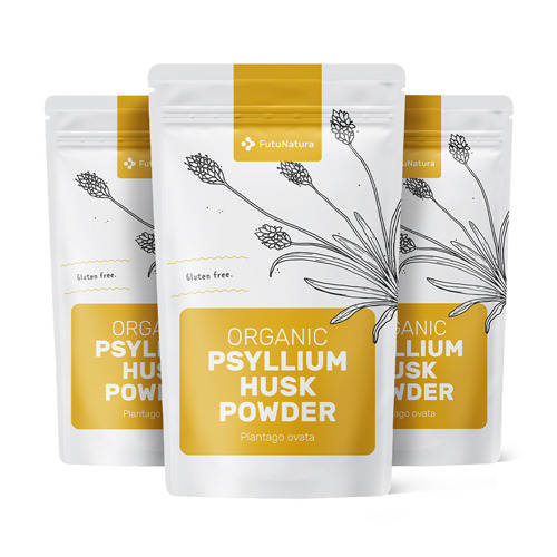 3x BIO psillio - in polvere, totale 750 g