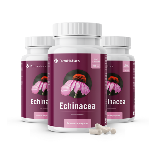 3x Echinacea – estratto 10:1, totale 1080 capsule