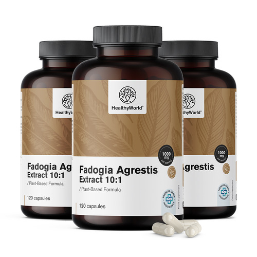 3x Fadogia Agrestis 1000 mg, totale 360 capsule