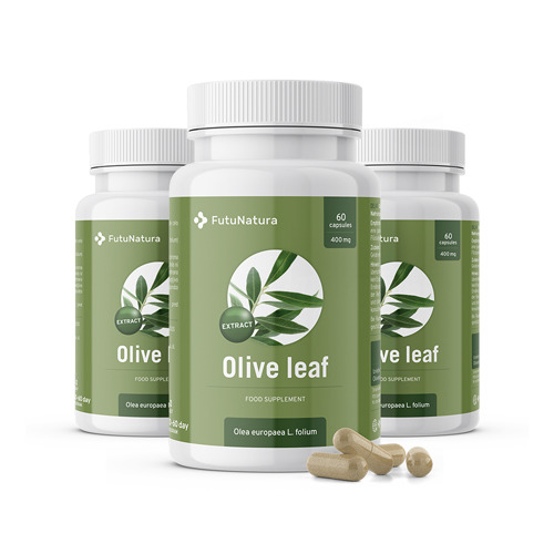 3x Foglie di olivo – estratto, totale 180 capsule