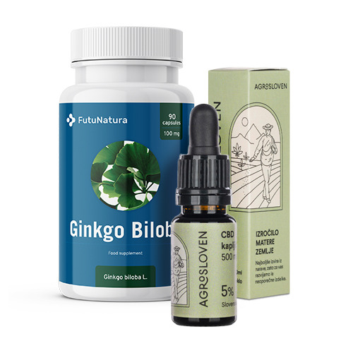 Potenza del cervello: CBD gocce + Ginkgo biloba, kit