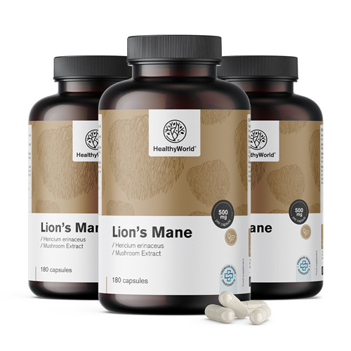 3x Testa di scimmia (criniera di leone) – fungo, totale 540 capsule