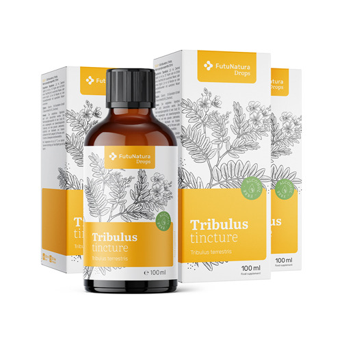 3x Tribolo comune – tintura, totale 300 ml