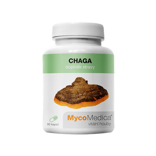 Chaga – funghi, 90 capsule