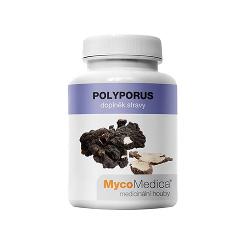 Polyporus – funghi, 90 capsule