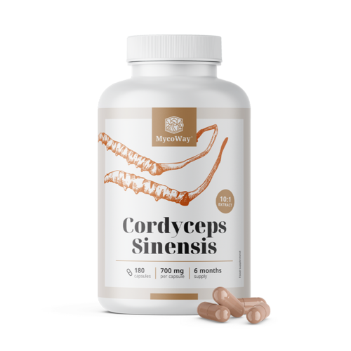 Cordyceps sinensis 1400 mg – estratto 10:1, 180 capsule