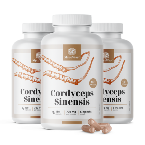 3x Cordyceps sinensis 1400 mg – estratto 10:1, totale 540 capsule