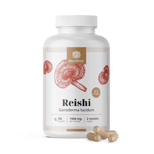 Reishi 1950 mg – estratto 5:1, 180 capsule