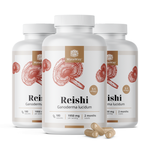 3x Reishi 1950 mg – estratto 5:1, totale 540 capsule