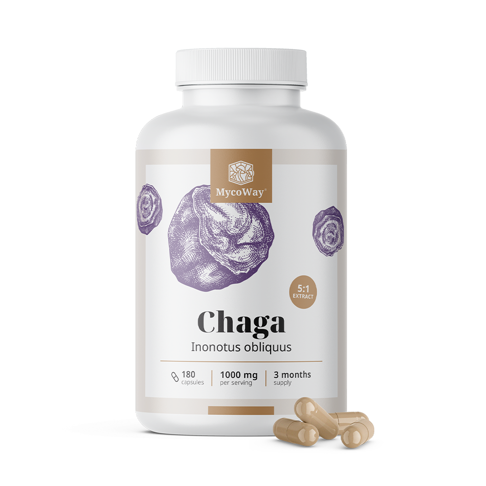 Chaga 1000 mg - estratto 5:1.
