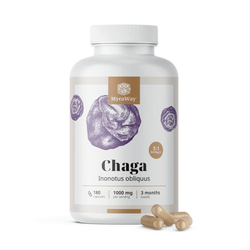Chaga 1000 mg – estratto 5:1, 180 capsule