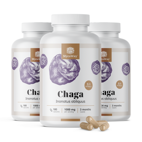 3x Chaga 1000 mg – estratto 5:1, totale 540 capsule