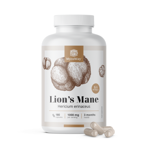 Testa di scimmia 1000 mg – estratto 5:1, 180 capsule