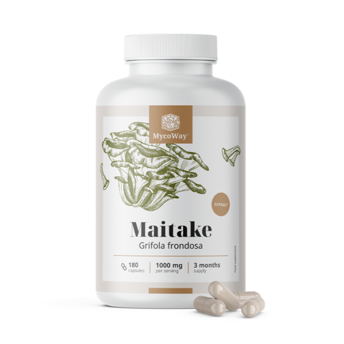 Maitake 1000 mg – estratto, 180 capsule