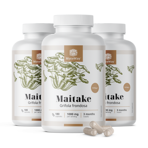 3x Maitake 1000 mg – estratto, totale 540 capsule