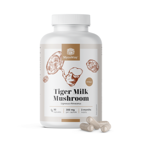 Tiger Milk 300 mg – estratto del fungo Lignosus rhinocerus, 90 capsule