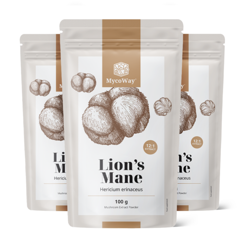 3x Testa di scimmia (Criniera di leone) – estratto 12:1, totale 300 g