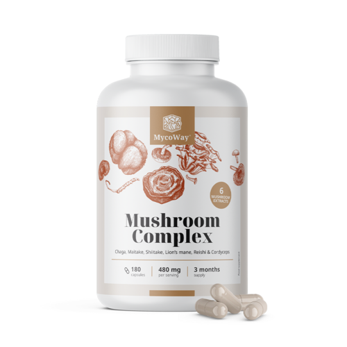 Complesso di funghi, 180 capsule