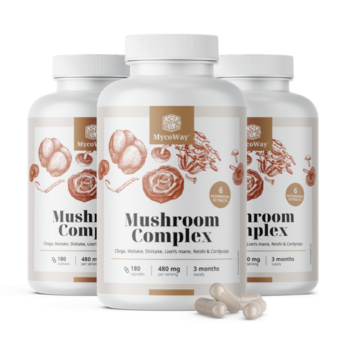3x Complesso di funghi, totale 540 capsule