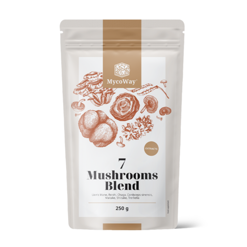 Miscela di estratti di sette funghi in polvere, 250 g